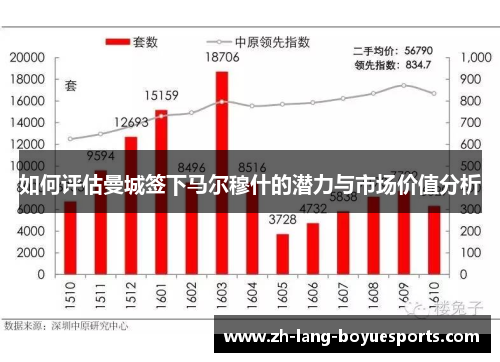 如何评估曼城签下马尔穆什的潜力与市场价值分析