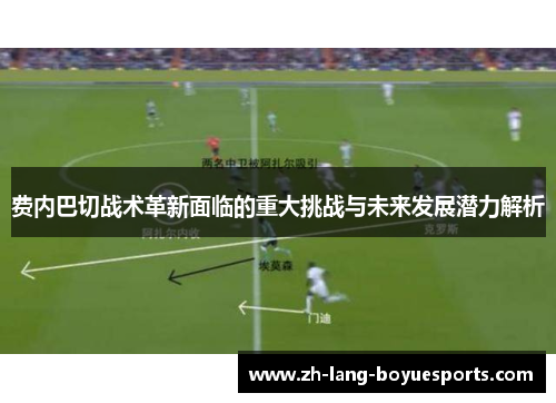 /uploads/images/20260522/fei-nei-ba-qie-zhan-shu-ge-xin-mian-lin-de-zhong-da-tiao-zhan-yu-wei-lai-fa-zhan-qian-li-jie-xi.webp